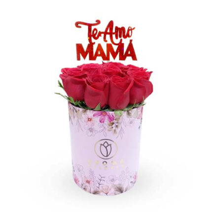 Box 12 rosas te amo mamá