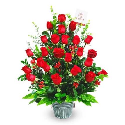 Vanessa 24 rosas