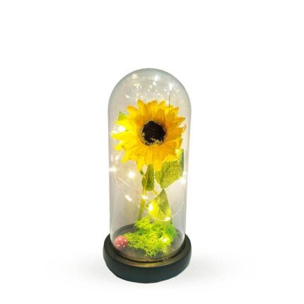 Girasol encantado musical